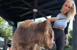 Bunnie Xo Finds a Silver Lining After Jelly Roll Divorce