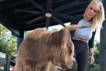 Bunnie Xo Finds a Silver Lining After Jelly Roll Divorce