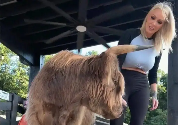 Bunnie Xo Finds a Silver Lining After Jelly Roll Divorce