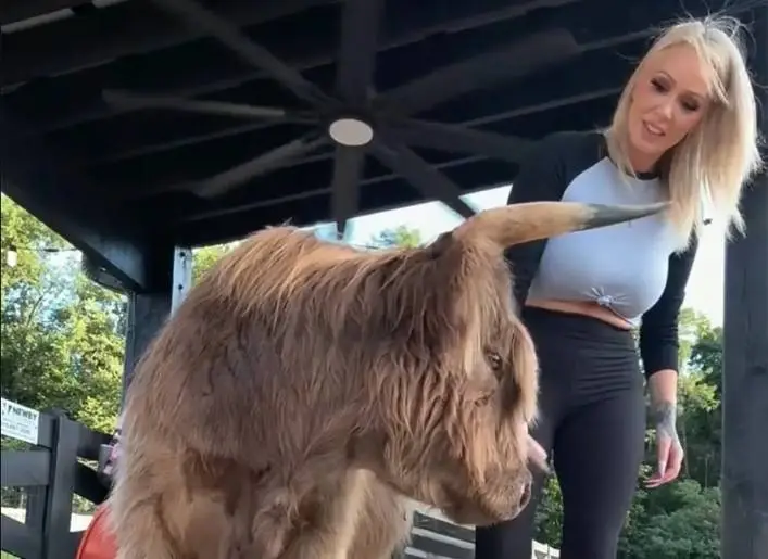 Bunnie Xo Finds a Silver Lining After Jelly Roll Divorce