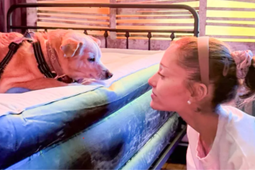 Ariana Grande's rescue dog Toulouse celebrating his 13th birthday as the singer shares a heartfelt tribute honoring their longtime bond.