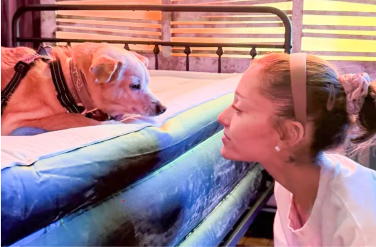 Ariana Grande's rescue dog Toulouse celebrating his 13th birthday as the singer shares a heartfelt tribute honoring their longtime bond.