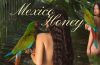 Kacey Musgraves shares artistic nude behind-the-scenes photos from her "Mexico Honey" music video filmed in Jalisco, Mexico.