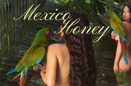 Kacey Musgraves shares artistic nude behind-the-scenes photos from her "Mexico Honey" music video filmed in Jalisco, Mexico.