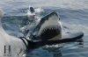 Emergency responders on a beach following reported shark-related incidents during Fourth of July celebrations.