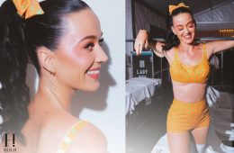 Katy Perry Wins Fans Over With Swiss Pun