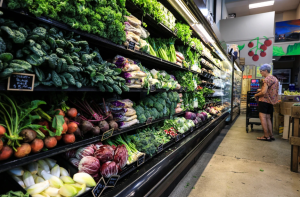 The Reality of SNAP Cuts in Action: Nebraska Sees 11.5% Enrollment Drop Amid Rising Grocery Prices