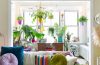Easy Indoor Garden Ideas9