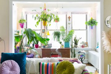 How to Create a Small Indoor Garden