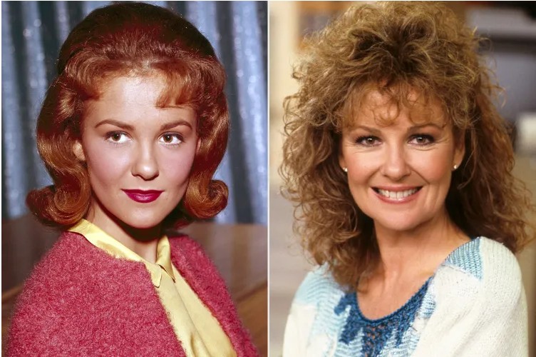 Shelley Fabares, known for The Donna Reed Show and Coach, pictured during her decades-long acting career.