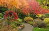 A small garden featuring compact shrubs with vibrant red, orange and burgundy fall foliage.
