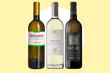 A chilled bottle and glass of Italian Vermentino white wine served with Mediterranean seafood and herbs.