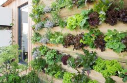 A lush living plant wall filled with different varieties of greenery creating a vertical garden feature indoors.