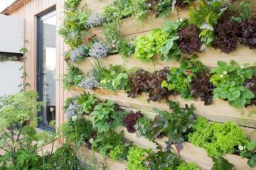 Turn A Blank Wall Into A Lush Living Garden With These Easy Tips