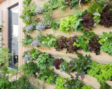 A lush living plant wall filled with different varieties of greenery creating a vertical garden feature indoors.