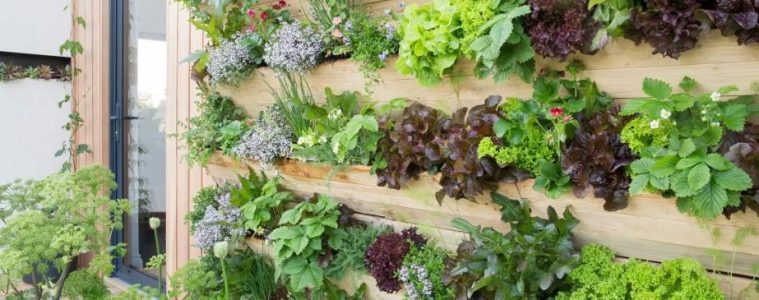 A lush living plant wall filled with different varieties of greenery creating a vertical garden feature indoors.