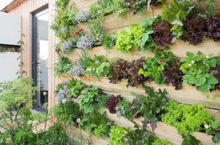 A lush living plant wall filled with different varieties of greenery creating a vertical garden feature indoors.