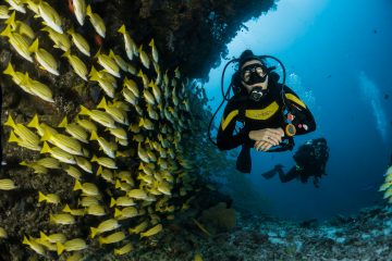Scuba Diving Is the New It-Girl Wellness Trend – Where to Try It in Indonesia