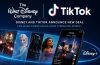 Disney and TikTok logos representing their new partnership to bring selected fan-made TikTok videos and creator content to Disney+.