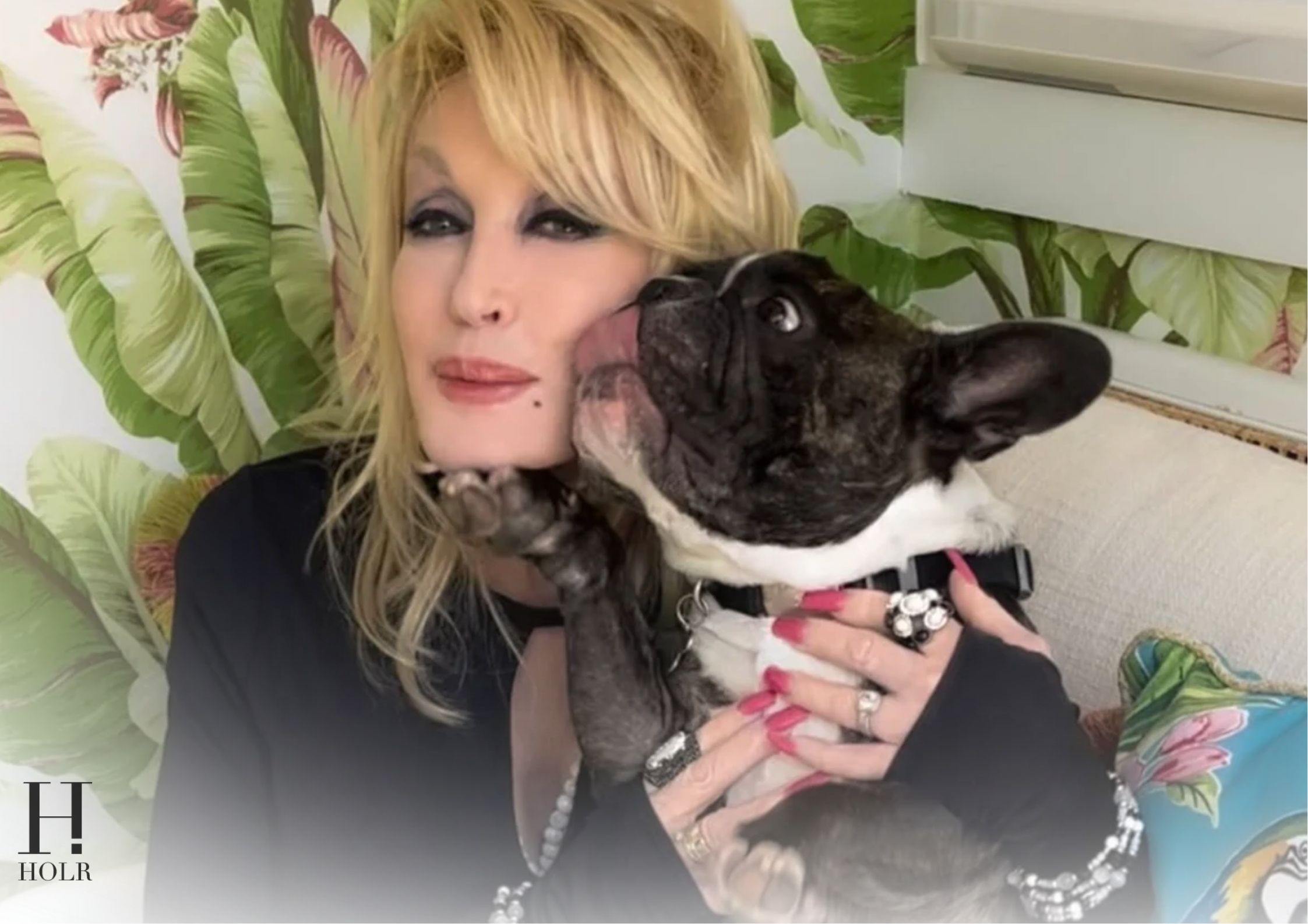 Dolly Parton’s Dogs: The Pet Who Saved Her Life