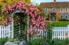 A climbing rose trained along a garden trellis with healthy green canes and late-summer flowers.